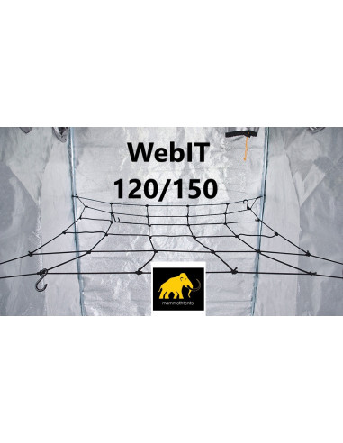 Mammoth  Web 120-150