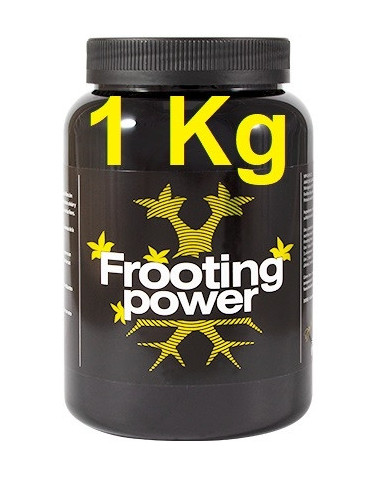 Frooting power 1 Kg BAC