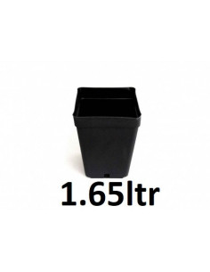 Pot Carré 13x13xh13 (1.65ltr)