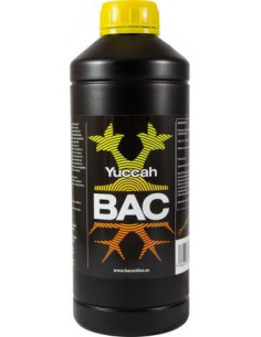 Yuccah 1 Lt BAC