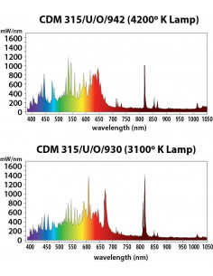 Ampoule Philips Daylight 315 W CMH LEC ( Croissance-Floraison ) 2