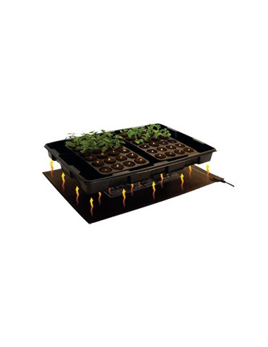 Root!T Tapis Chauffant 30W 60x40cm
