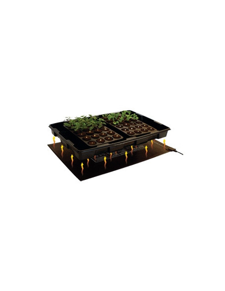 Root!T Tapis Chauffant 30W 60x40cm
