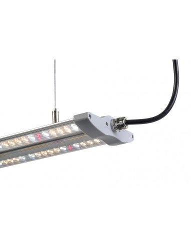 TLed 40w Full Spectrum FSG