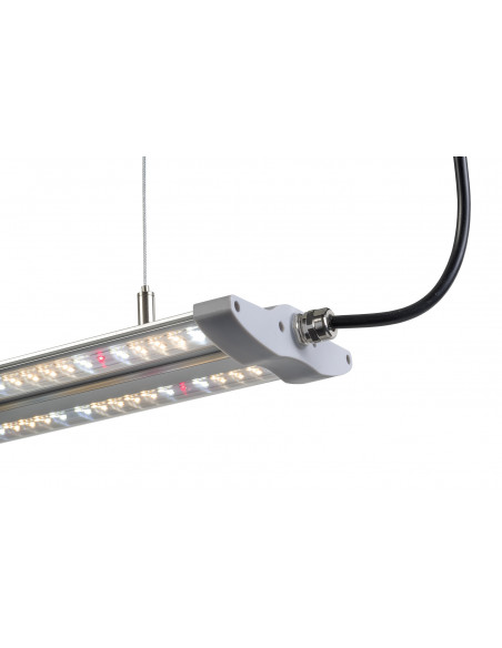 TLed 40w Full Spectrum FSG