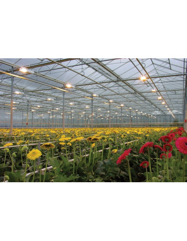 Sylvania Gro-Lux 400w HPS