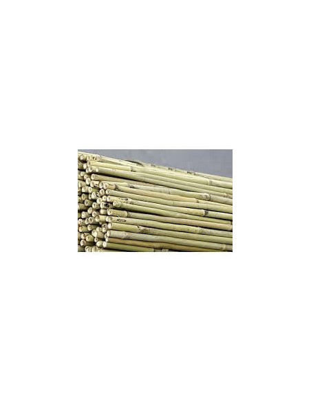 Bamboo 150 cm pack de 25 pc