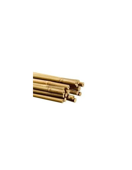 Bamboo 150 cm pack de 25 pc