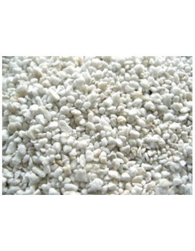 Plagron Perlite 10ltr