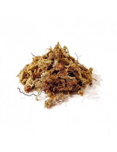 Chilean Sphagnum Moss 150g/6l Compact Brick, Ethically Grown