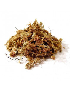 Sphaigne du Chili 150g Qualité Premium (Garden Solution) 2