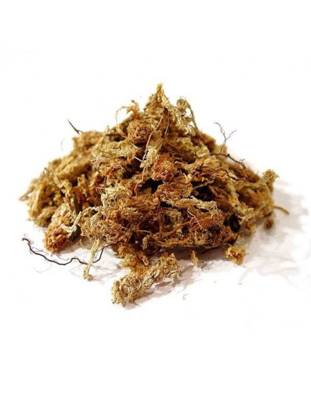 Sphaigne du chili 150gr