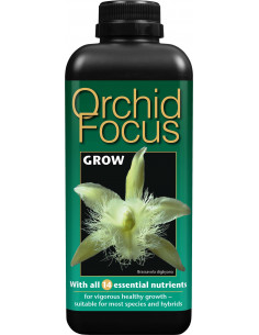 Orchid Focus Engrais Orchidées Croissance 1ltr