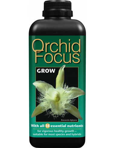 Orchid Focus Engrais Orchidées Croissance 1ltr