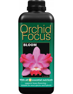 Orchids Focus Floraison 1ltr
