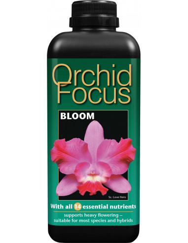 Orchids Focus Bloom 1ltr