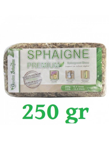 Sphaigne du Chili 250 gr Qualité Premium