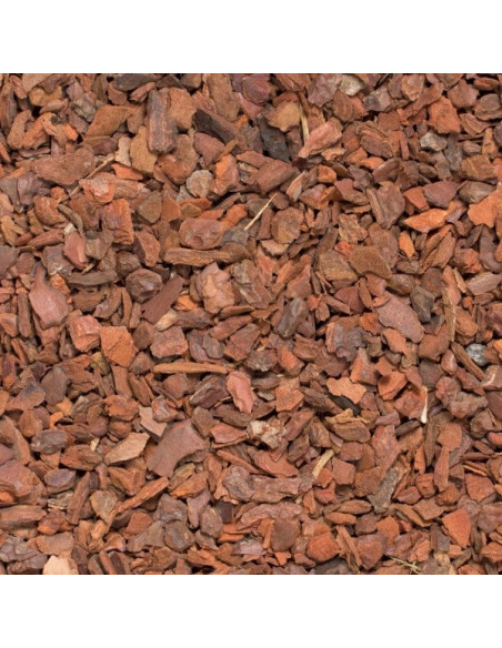 Substrat Orchidée 8ltr