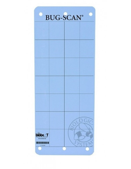 Hy-Catch Blue Thrips XXL (x10 pièces)