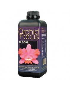 Orchids Focus Floraison 1ltr 2