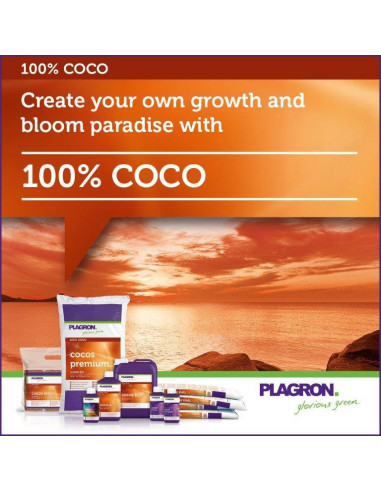 Plagron Coco A+B 10 ltr