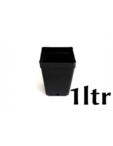 Square Pot 1 ltr (11x11xh12cm)
