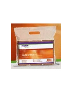 Plagron Coco Brix x 6 pcs