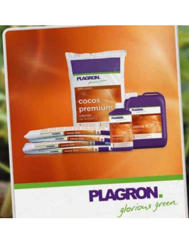 Plagron Coco Brix x 6 pcs