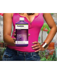 Plagron Sugar Royal 5ltr 2