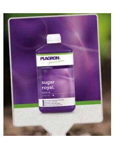 Plagron Sugar Royal 1ltr