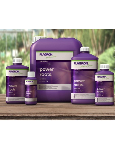 Plagron Power Roots 100ml