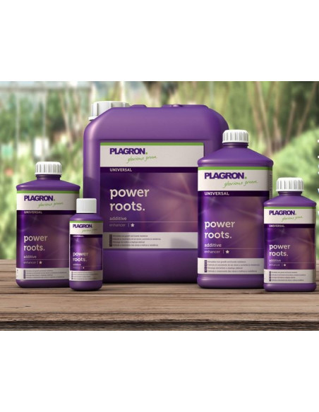 Plagron Power Roots 250ml