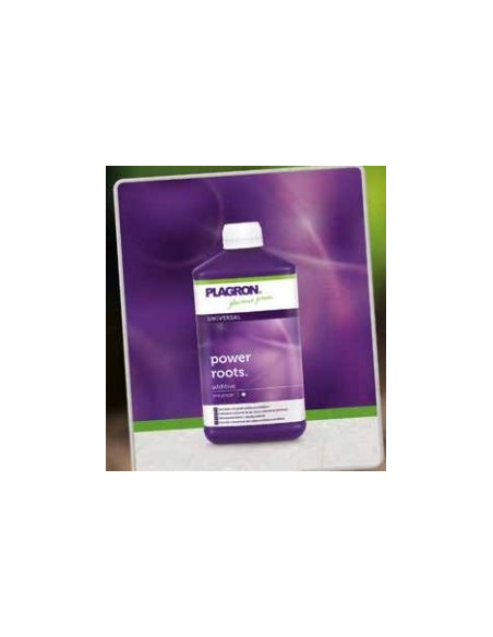 Plagron Power Roots 250ml