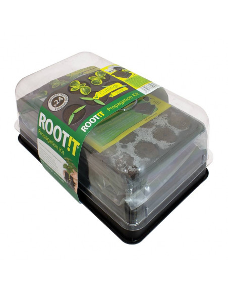 Kit Bouturage Root!t 24