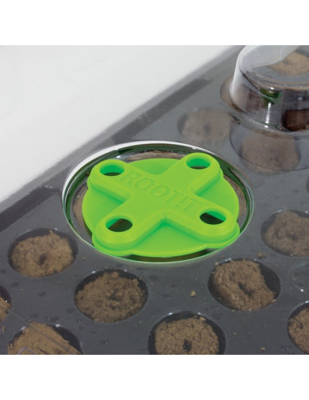 Kit Bouturage Root!t 60