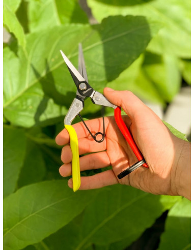 Ciseaux de taille Oksinto (Pro H420) Made in Japan