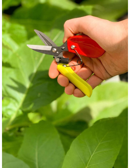 Sécateur Oksinto (Pro H200) Made in Japan