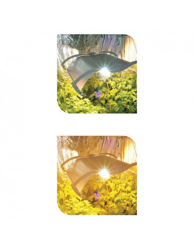 Lunettes Lumii Growroom