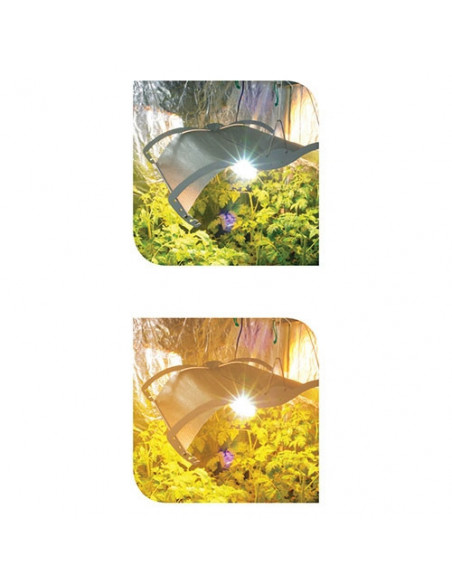 Lunettes Lumii Growroom