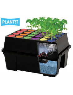 Bouturette Aéroponique x 24 PLAN!T