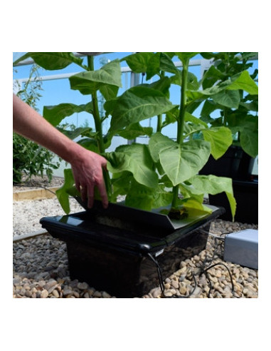 Gro-Tanks  NFT GT205 BASIC KIT