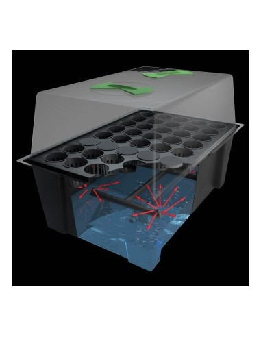 Aeroponic propagator X-Stream 40 site