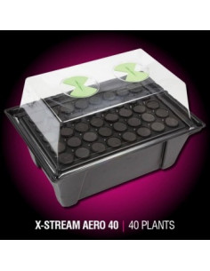 Aeroponic propagator X-Stream 40 site 2