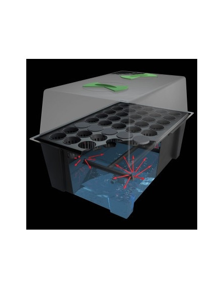 Aeroponic Propagator X-Stream 20 Site