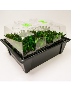 Propagator Xstream 80 site 2