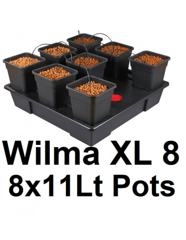 Wilma XL 8 Plantes 11Lt  90x90 cm
