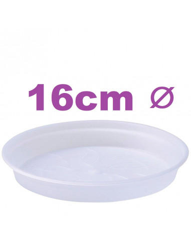 Clear Pot Saucers 16cm ⌀