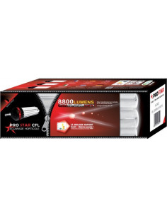 CFL Prostar 200w Floraison