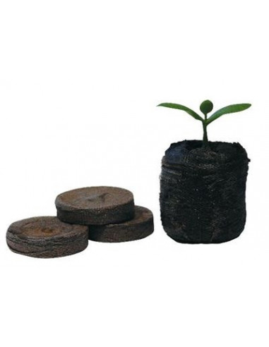 Boîte Jiffy Coco (x1000pcs)