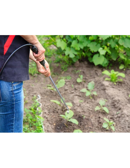 Pulvérisateur Dorsal à Batterie 12L